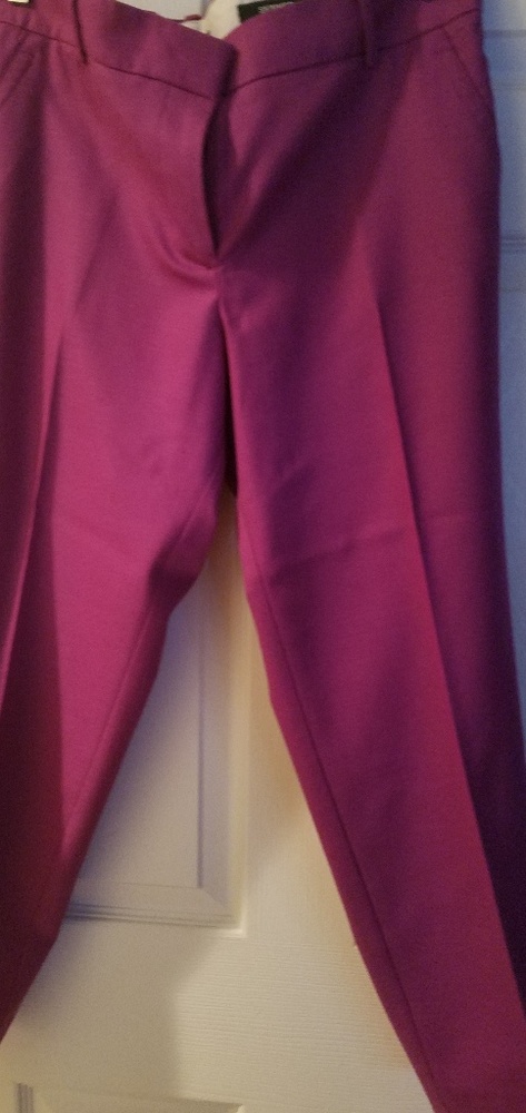 J Crew Pants
